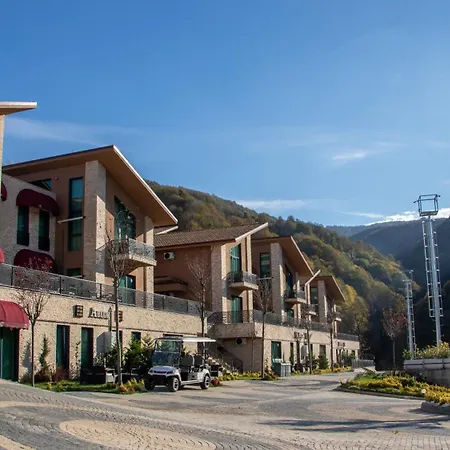 Altindere Vadi 酒店 Akyazi (Sakarya)